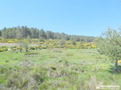 Joya integral de la pedriza tienda montana madrid rutas en bici por la sierra de madrid gr 10 madrid